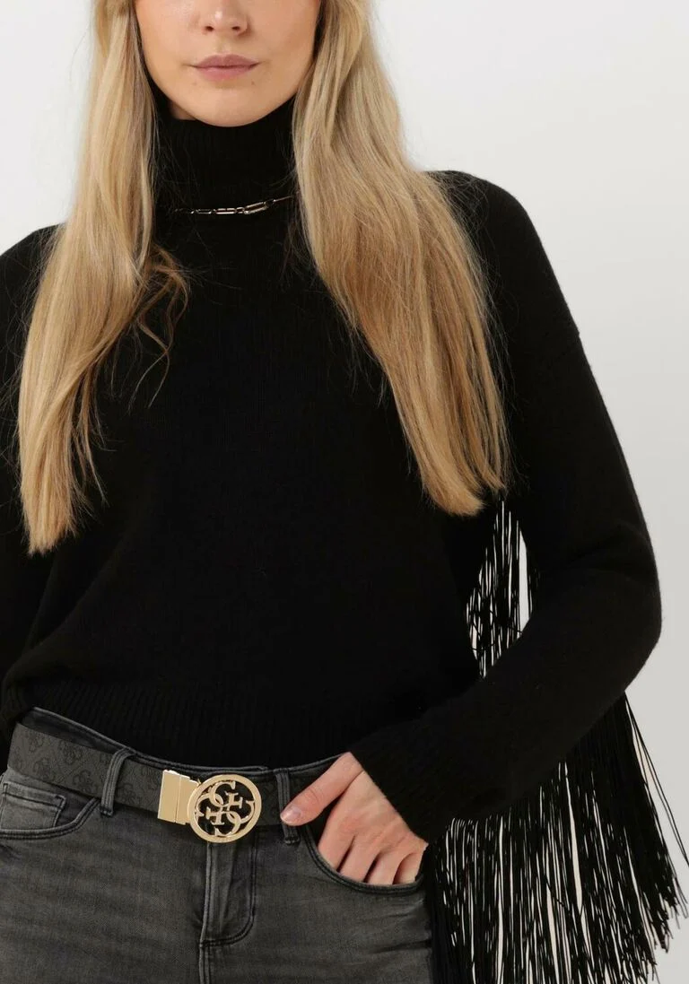 GUESS zwarte guess coltrui leonie roll neck ls sweater