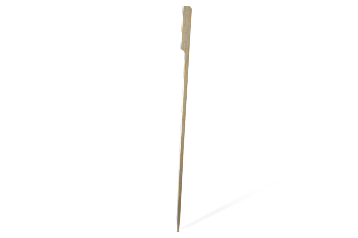 BIO Bamboe pin prikker 30cm