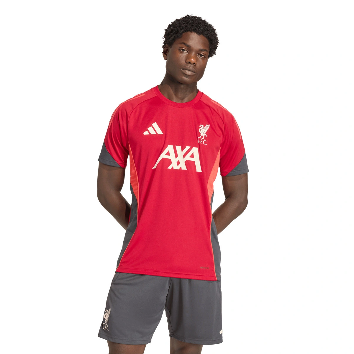 T-Shirt adidas Liverpool Fc Training 2025-2026