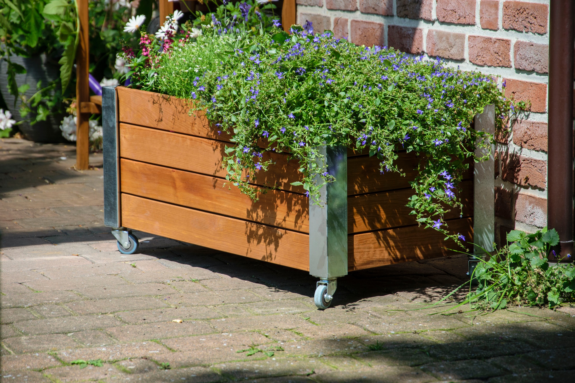 dobar Hochbeet »Rollfi« FSC®-zertifiziertes Kiefernholz, wetterfest lasiert, mit Rollen