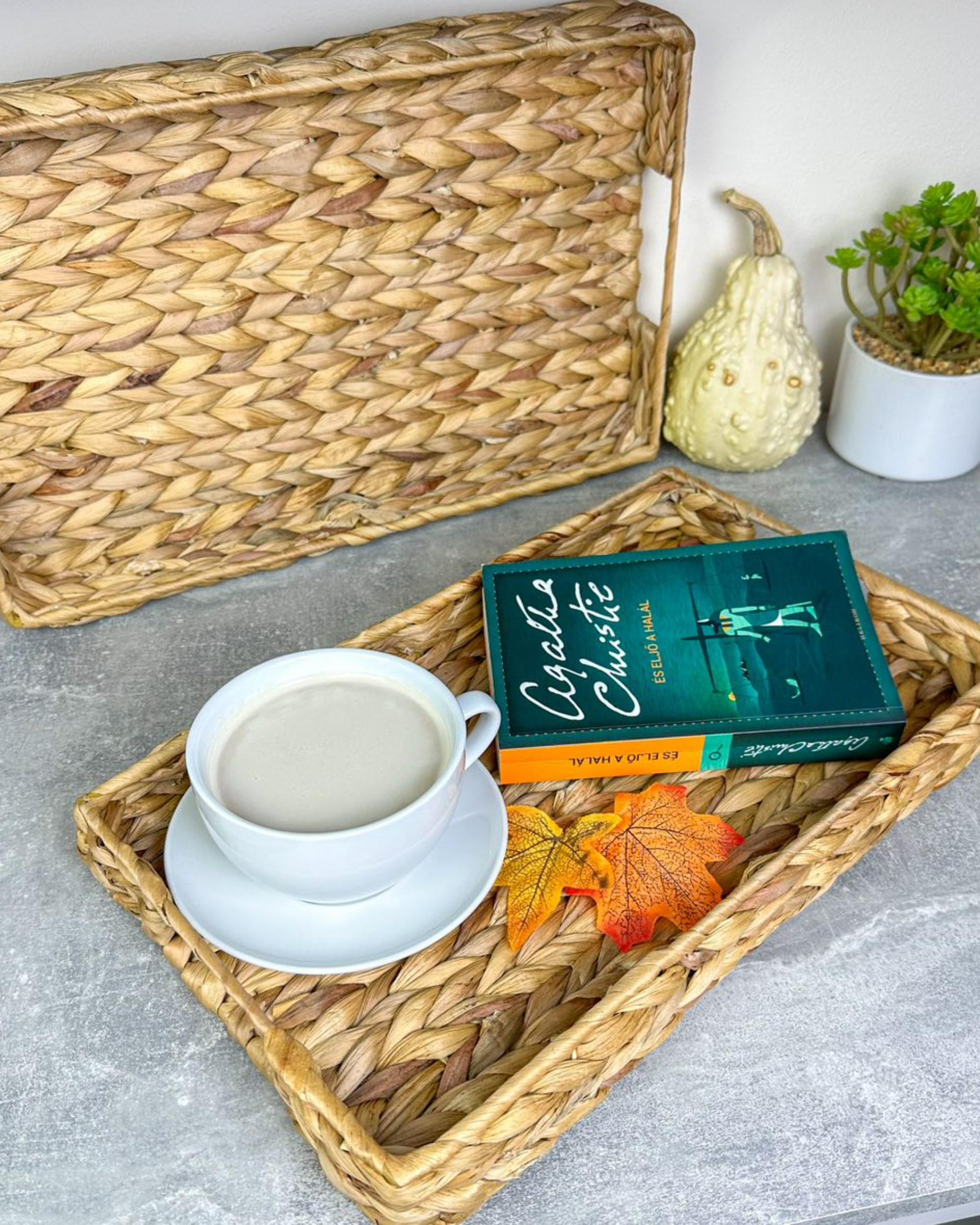 Set van 2 decoratieve dienbladen KONTUM Wicker Natuurlijk
