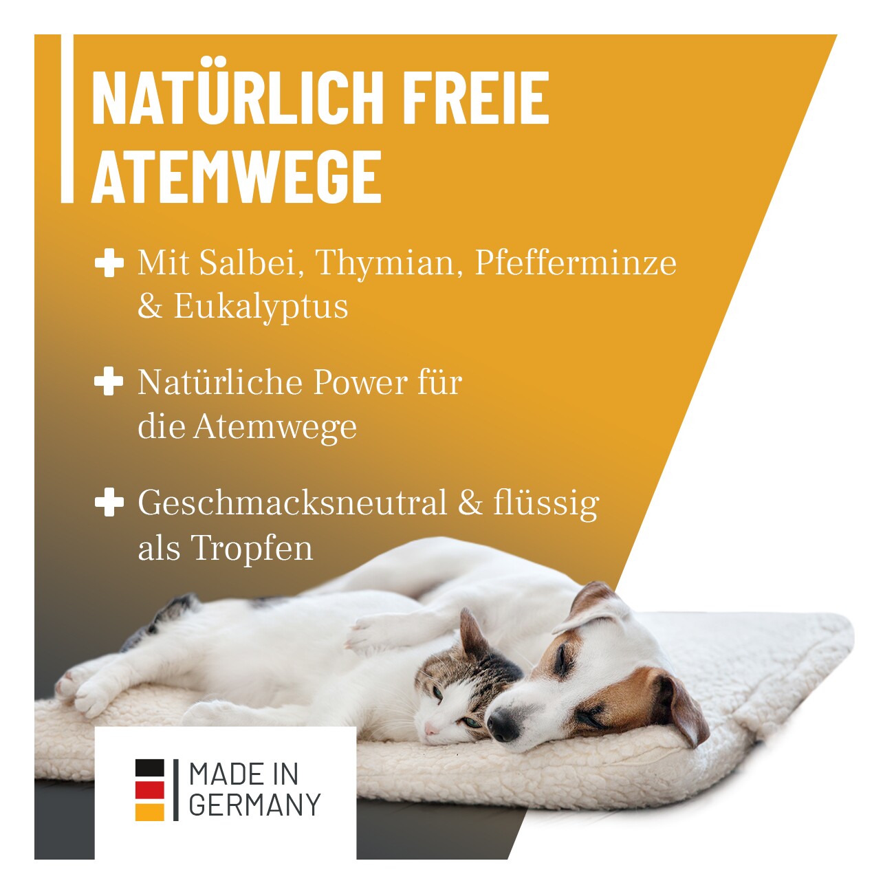 REAVET Immun Aufbau Tropfen 100ml