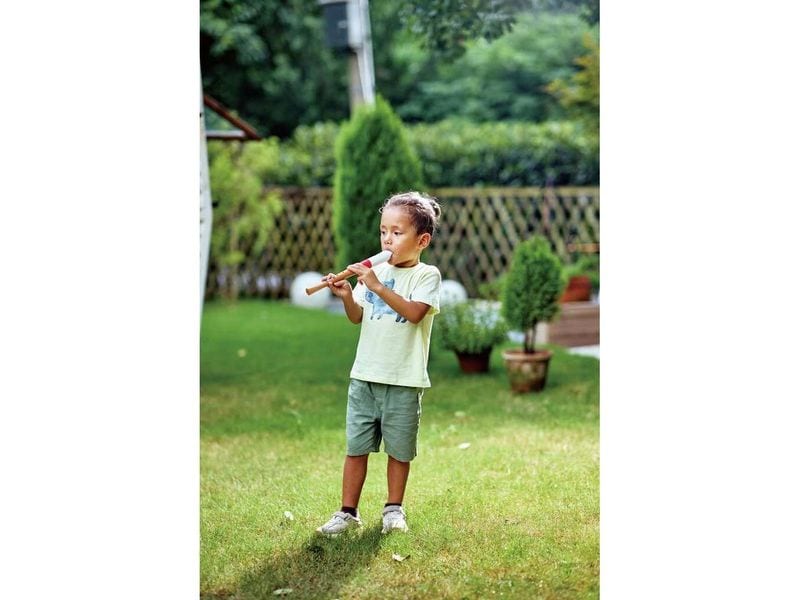 Hape Musikspielzeug Musician's Starter Recorder Blockflöte für kleine Musiker