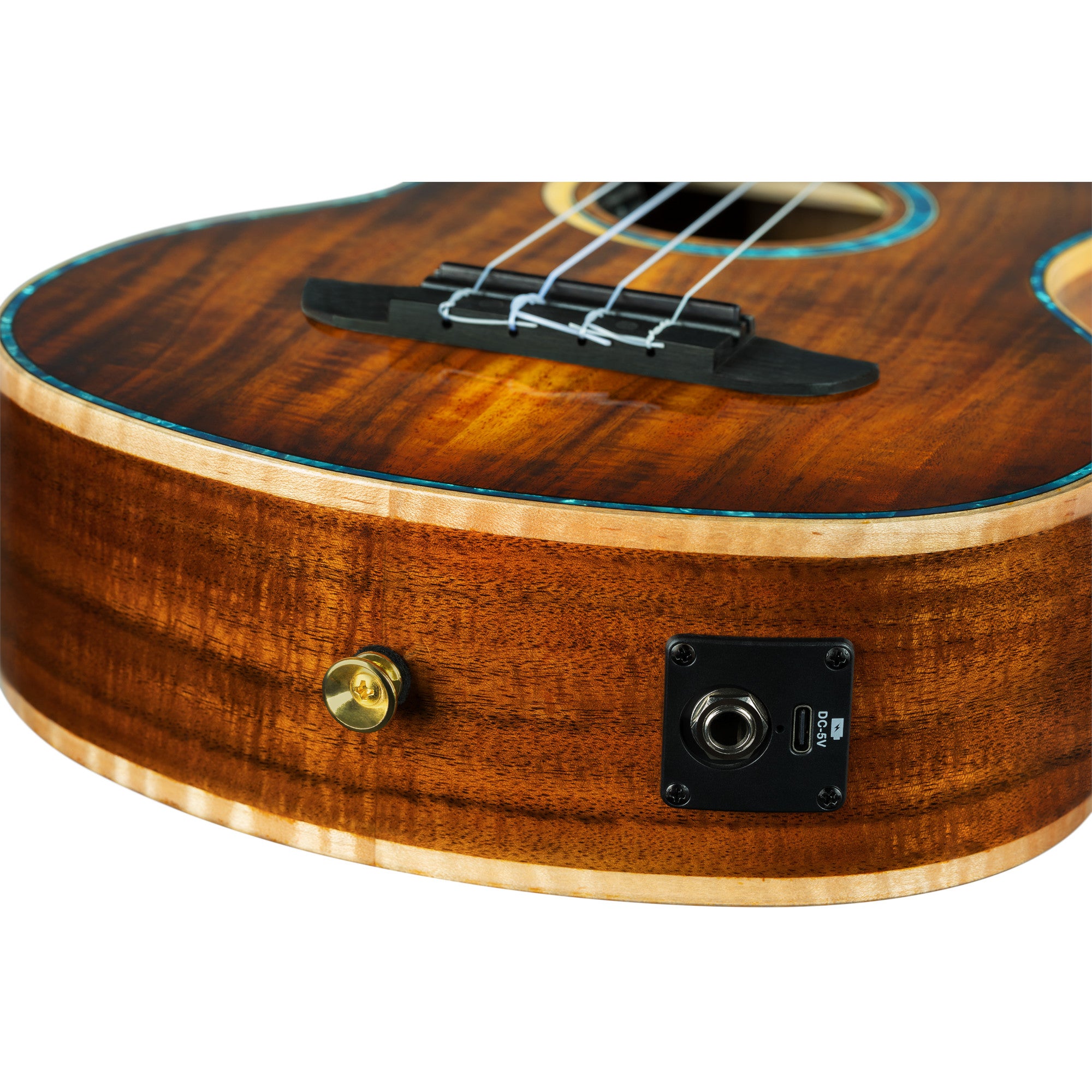 Ortega 30th Anniversary Series RUHZ30TH-ST E/A tenor ukelele met gigbag