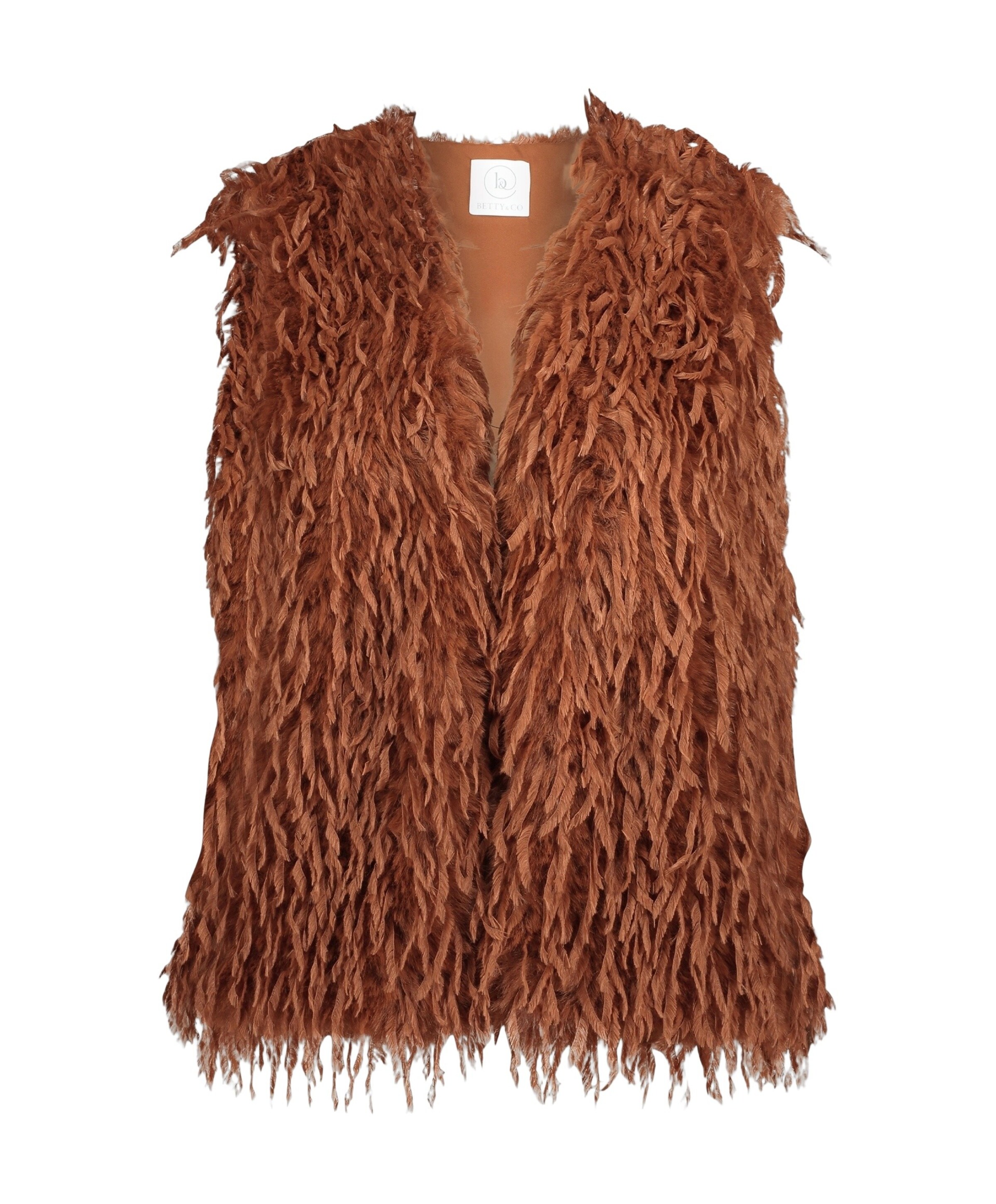 Betty en Co Dames gilet bruin