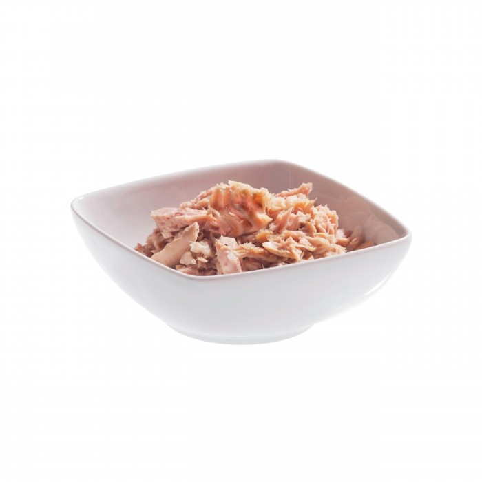 Schesir Pâtées Spécialités de la mer en gelée Adult - 14 x 85 g