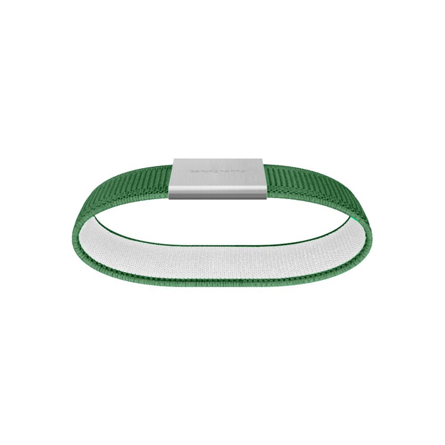 Secrid Moneyband Elastic green