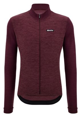 Maillot Manches Longues Santini Pure Violet
