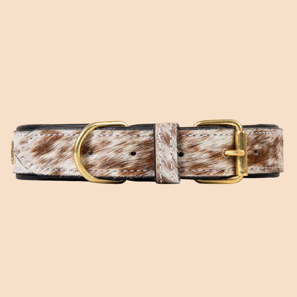 Myra Bag Dog Collar Chissum