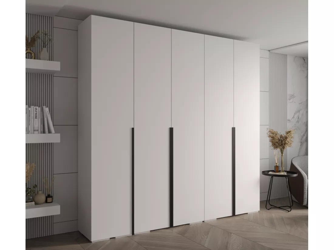 Inova 1 armoire à portes battantes 236,7/250/47 5 porte (blanc/Nero)