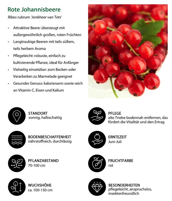 Bio Beeren-Set Bunter Obstgarten, 5-teilig
