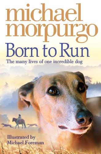 Born to Run (Paperback)