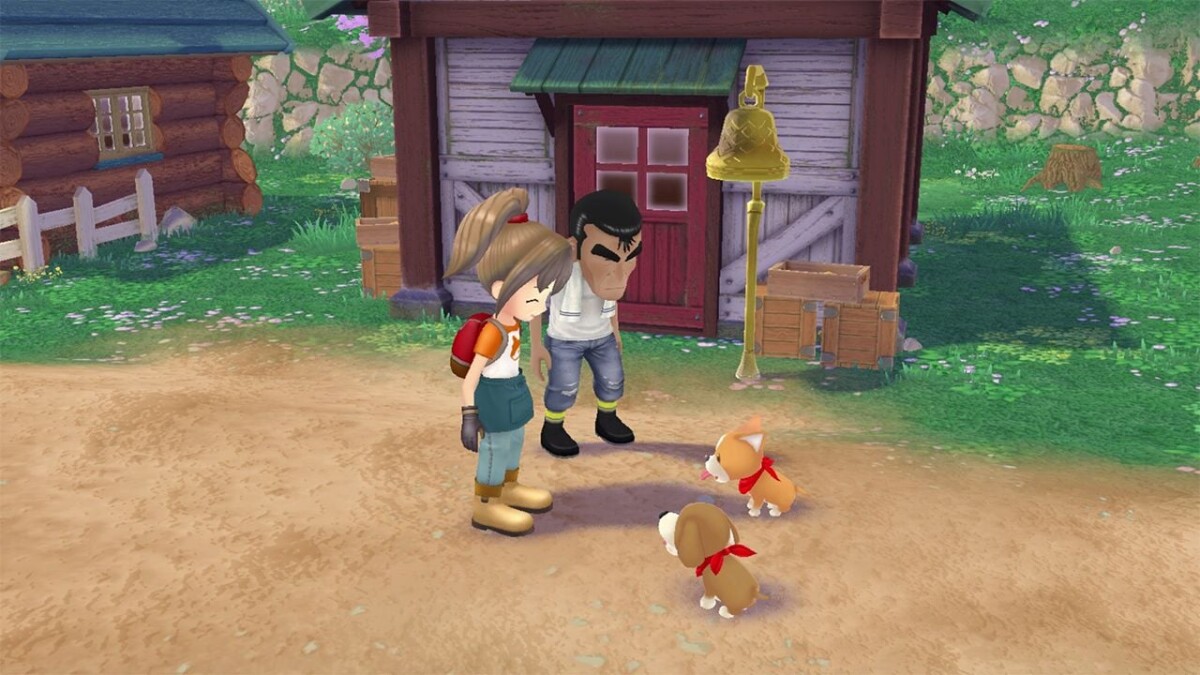 Story Of Seasons: A Wonderful Life - Limited Edition - PS5