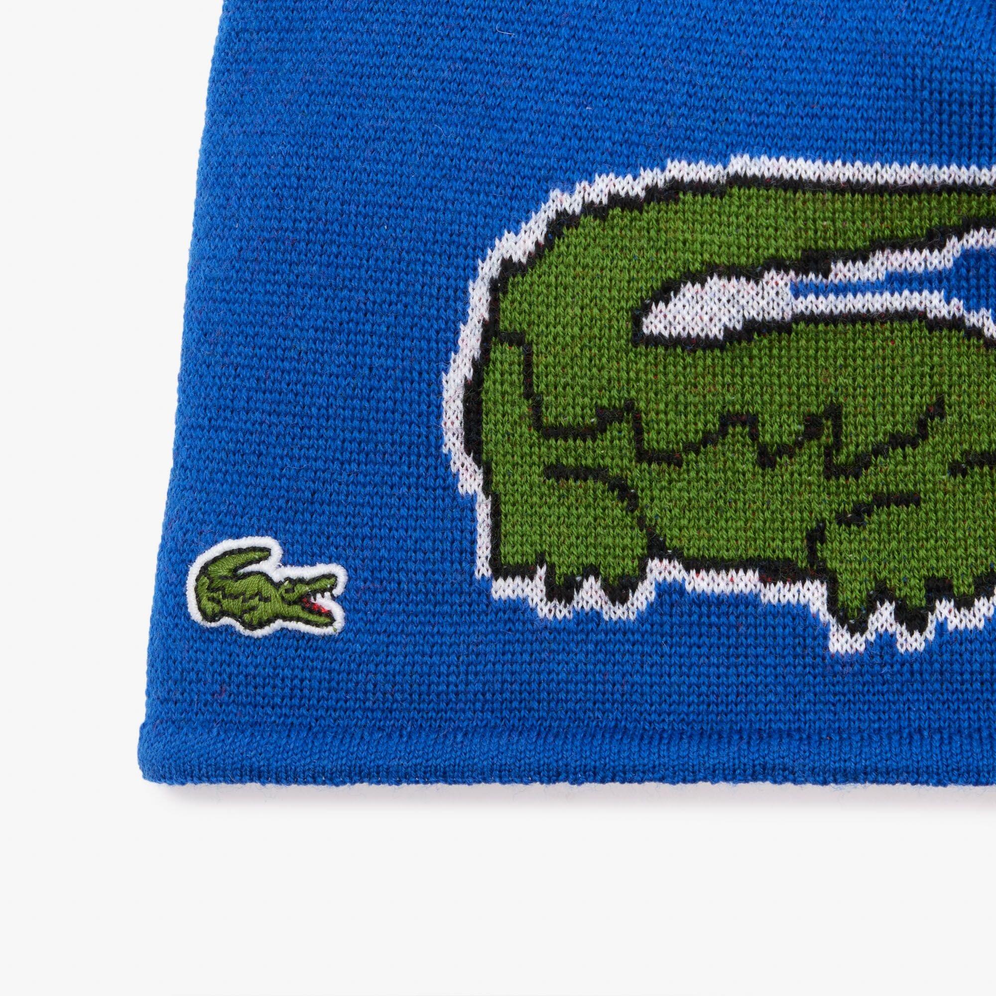 Lacoste RB3081 Hat In99