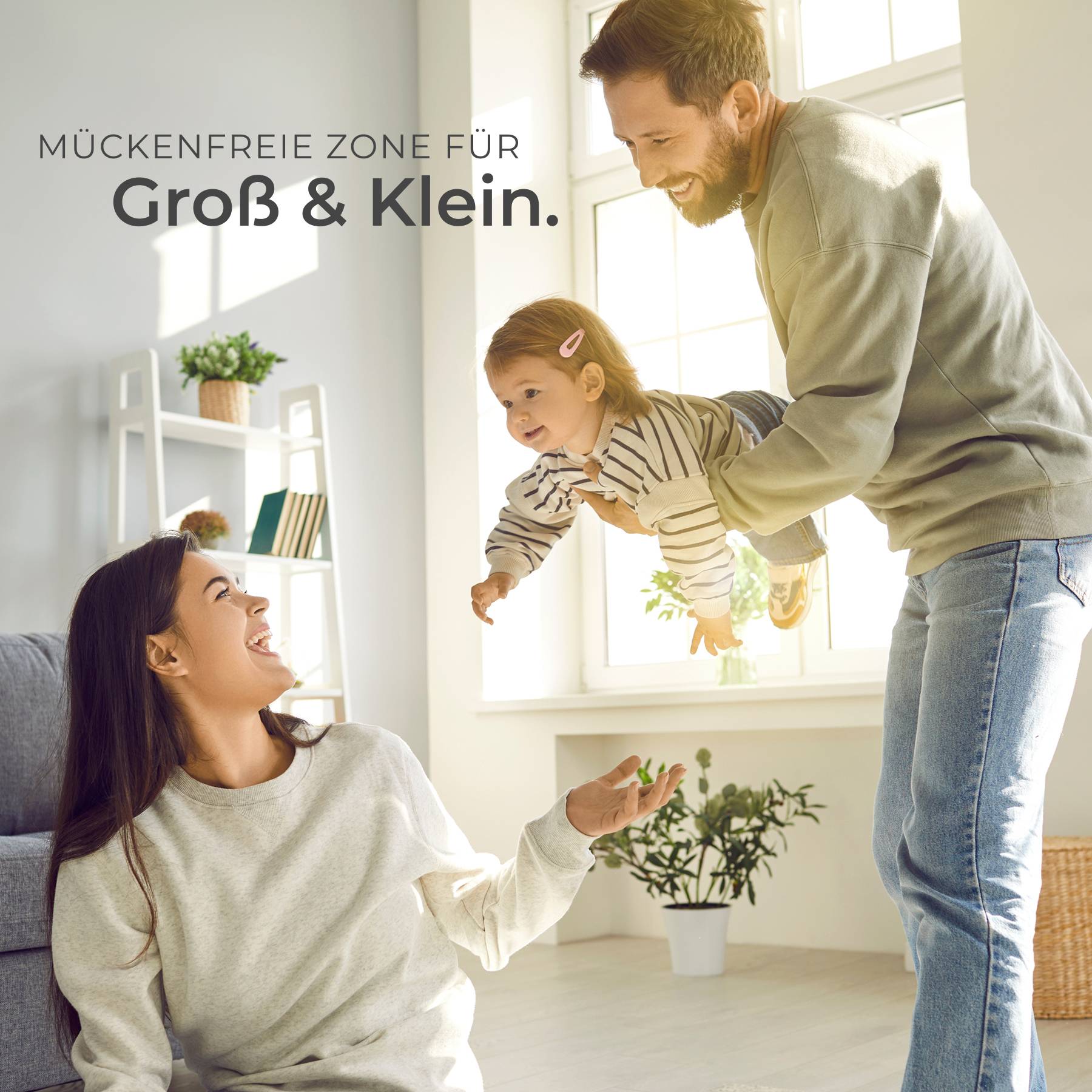 Fliegengitter
