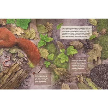 Magellan Verlag Tag und Nacht im Wald