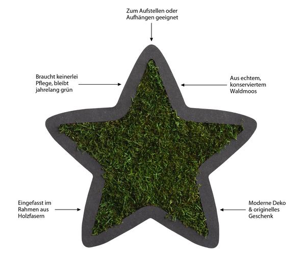 styleGREEN Stern aus Waldmoos, ca. B26/H26/T2
