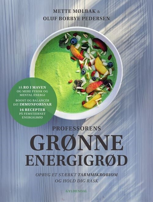 Professorens Grønne Energigrød - Mette Mølbak - Bog
