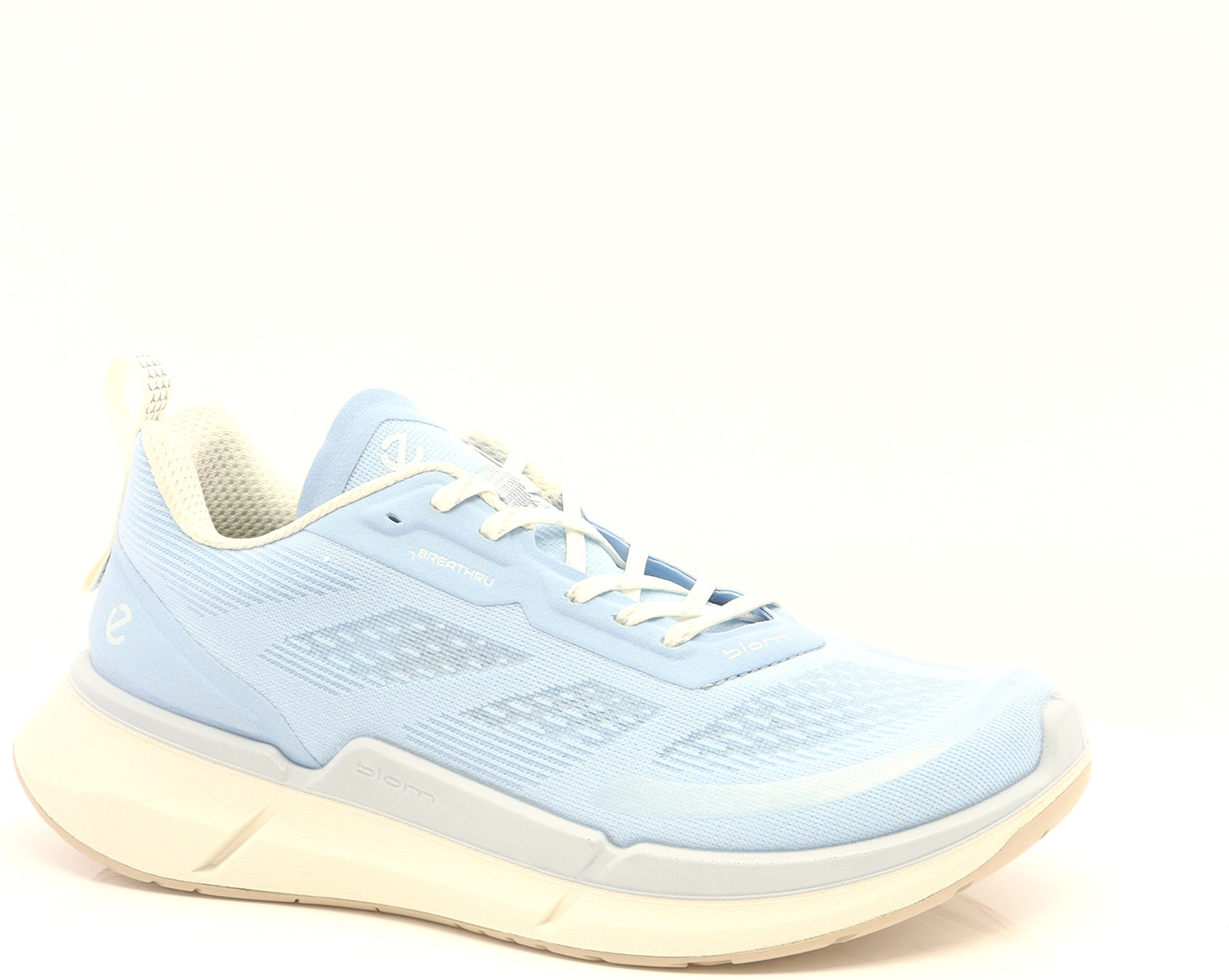 81466 ECCO