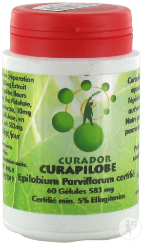 Curapilobe 583mg Gélules 60