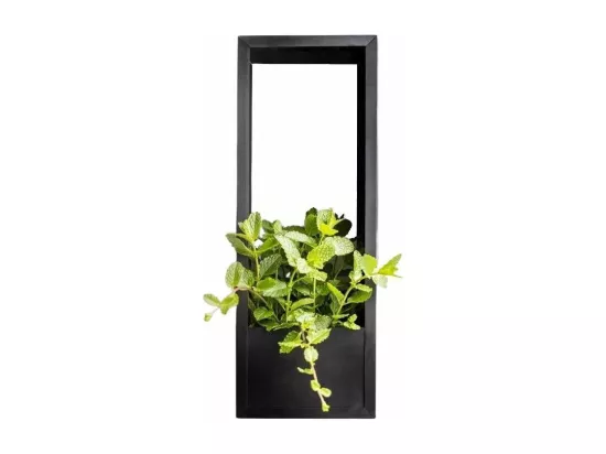 Cadre mural en fer pour plantes Garden 18 x 18 x 50 cm