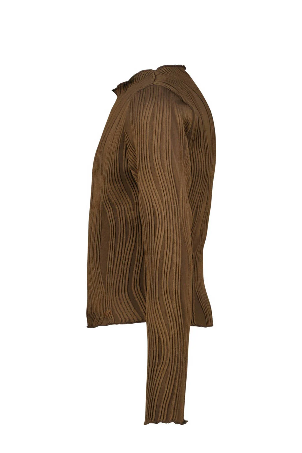 Raizzed longsleeve bruin
