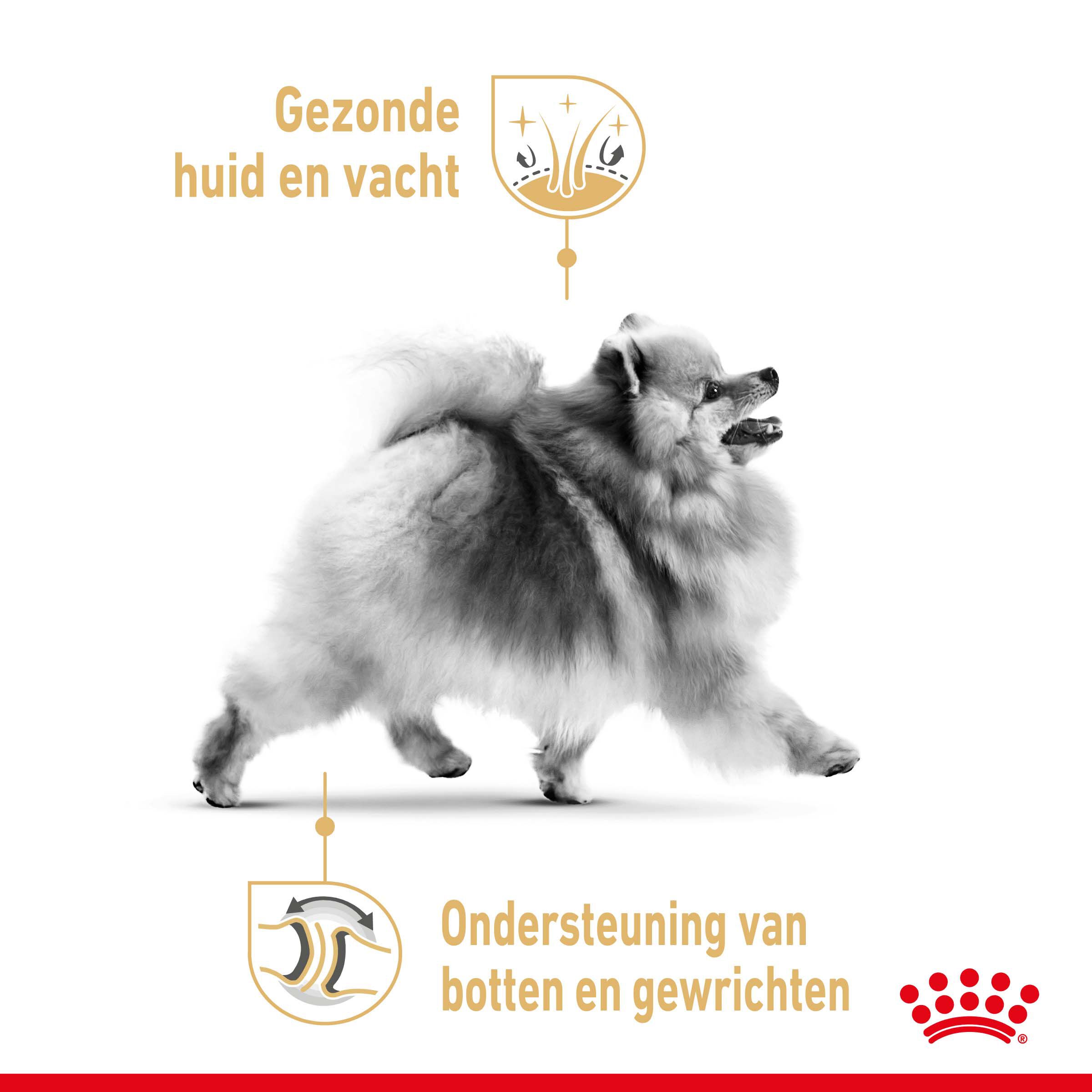 Royal Canin BHN Pomeranian  Adult - Hondenvoer - 12x85 gram - 85 Gram - gevogelte