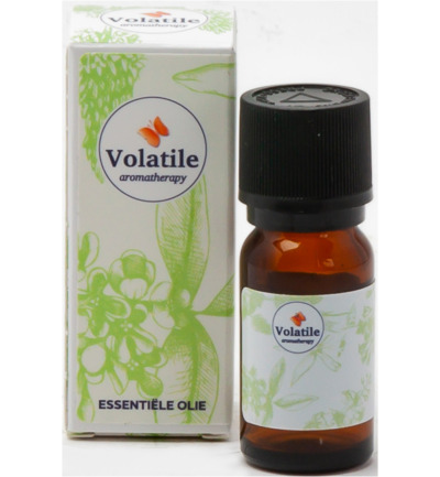 Volatile Oregano C02-Se Bio (2,5 ml)