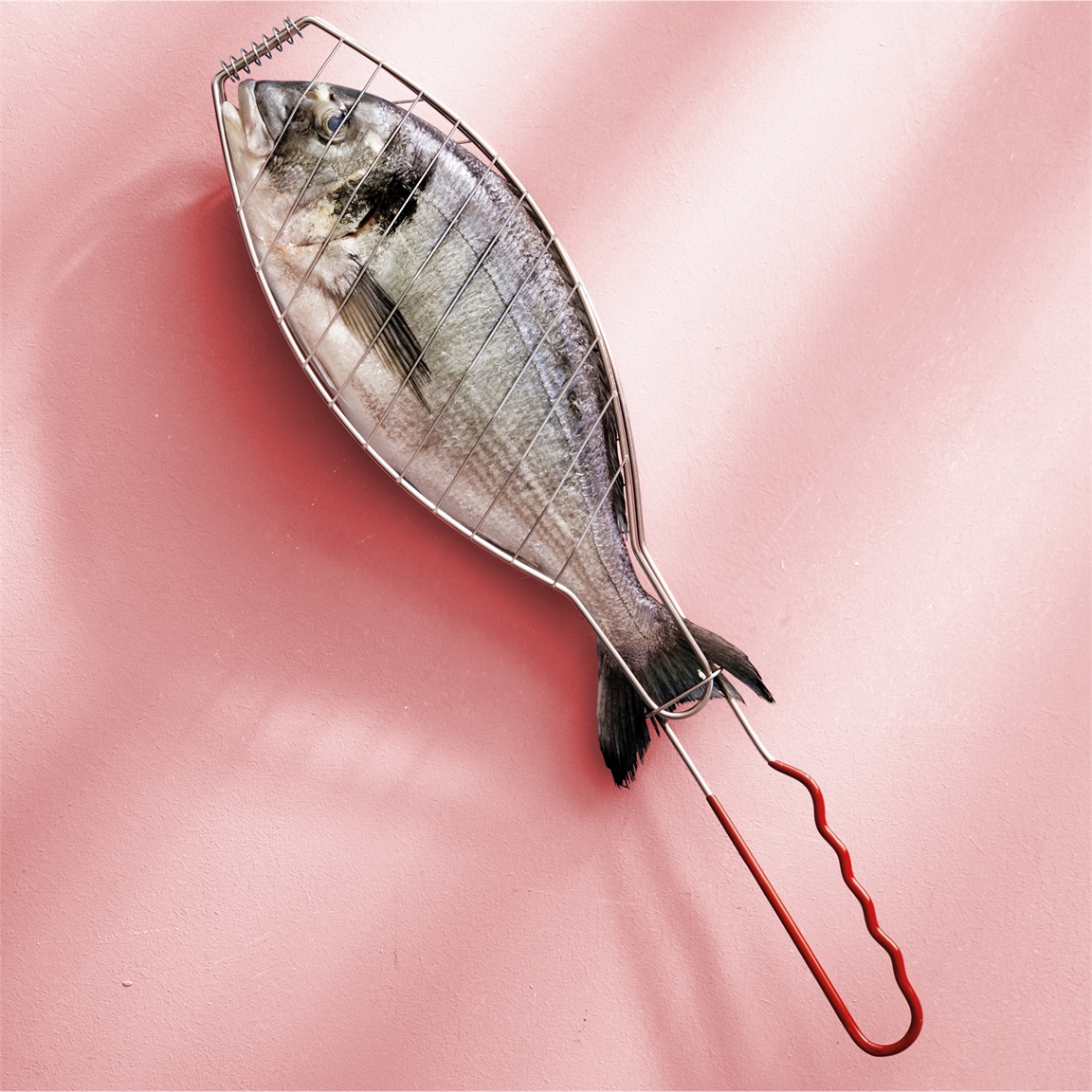 Grille poisson barbecue