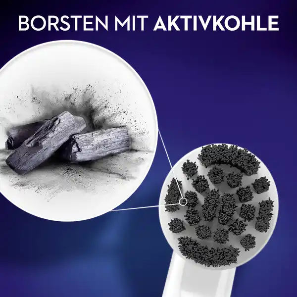 Aufsteckbürsten Pure Clean