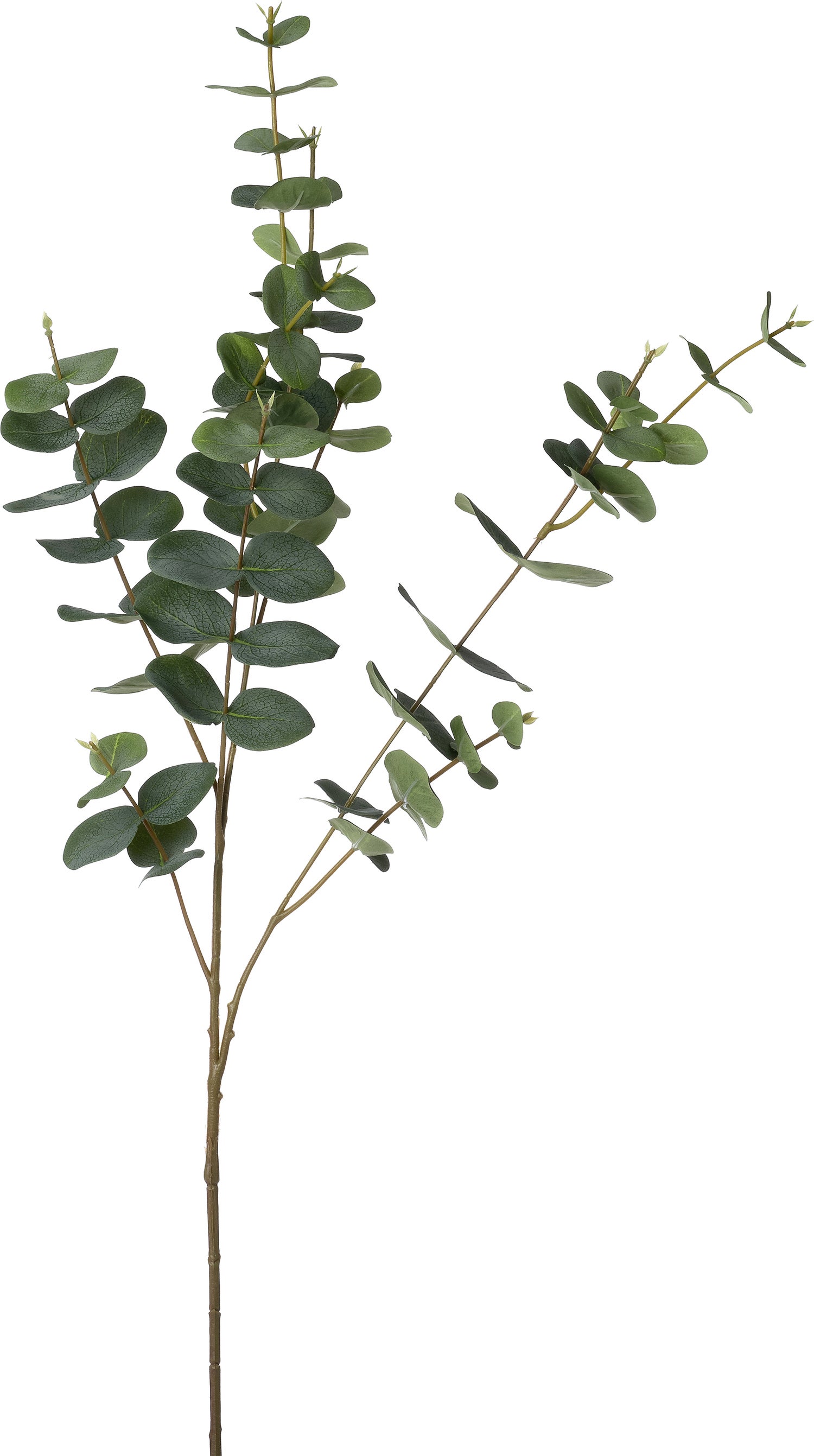 Intratuin kunsttak Eucalyptus donker groen 95 cm