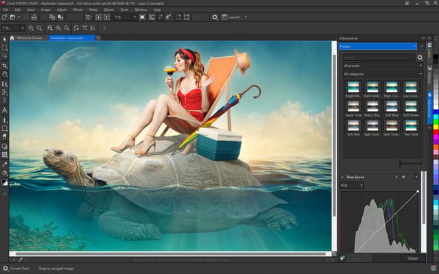 CorelDRAW® Graphics Suite 365-Day Subscription