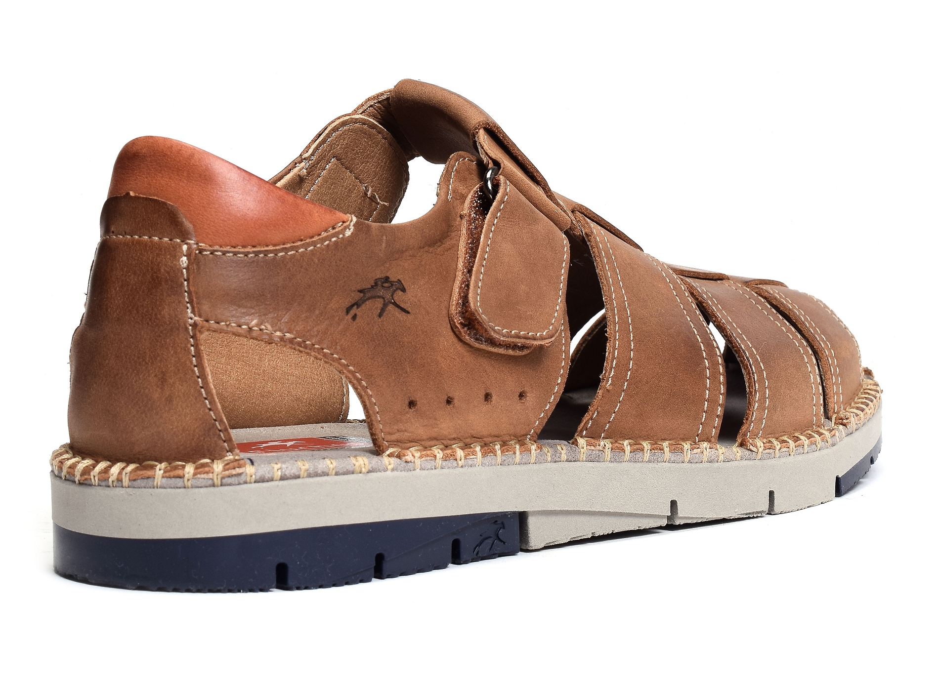 F1167 camel