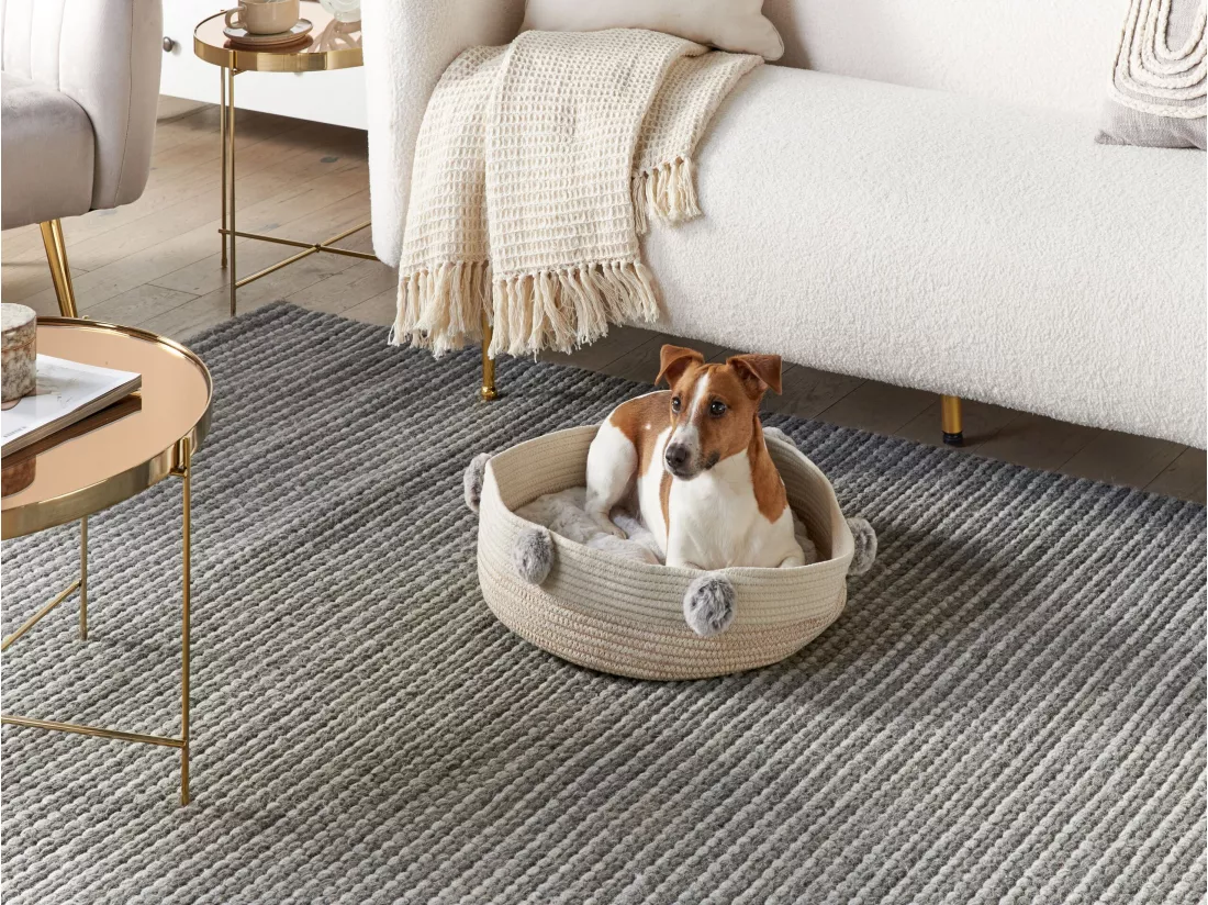 Lit pour animal ORTACA Coton Beige clair
