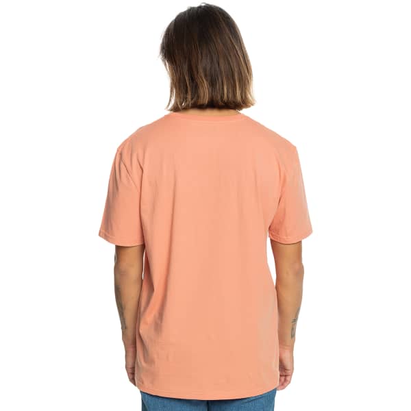 T-shirt QUIKSILVER TRADESMITH TEE CANYON CLAY