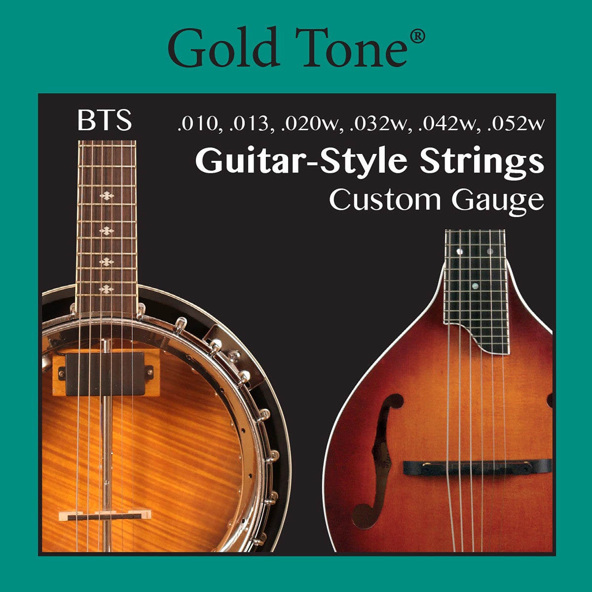 Gold Tone BTS Guitar-style Banjitar Strings snarenset