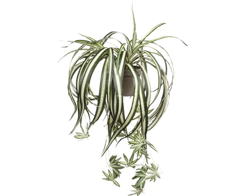 Kunstspinnenplant Chlorophytum Ø 45 H 30 cm groen