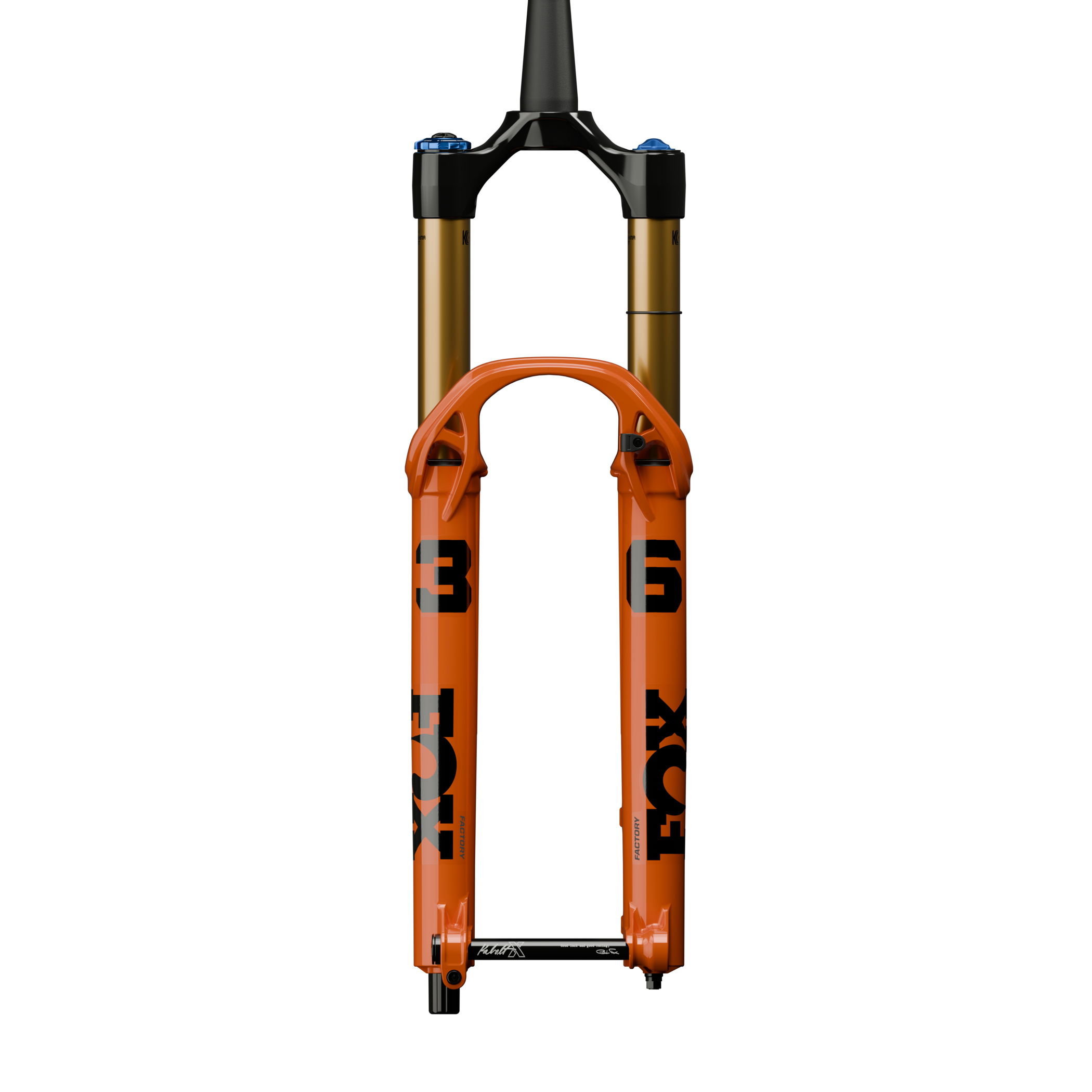 Fox Racing Shox Fox Float 36 Factory 29