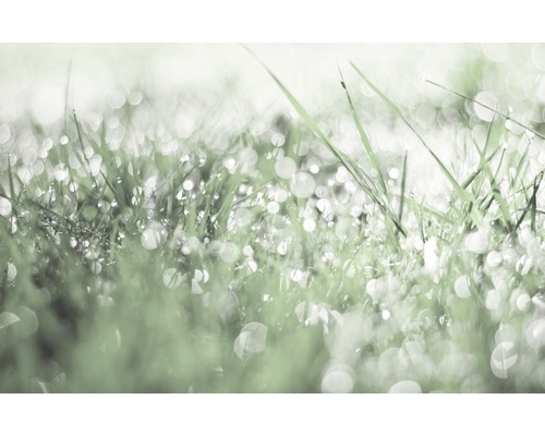Alpina Fine Colors conserveermiddelvrij Gentle Morning Dew 2,5 L