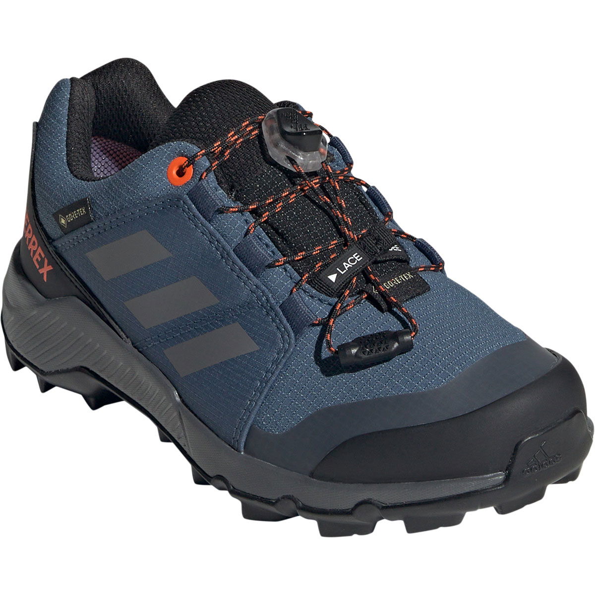 adidas Terrex GTX Vandresko Børn