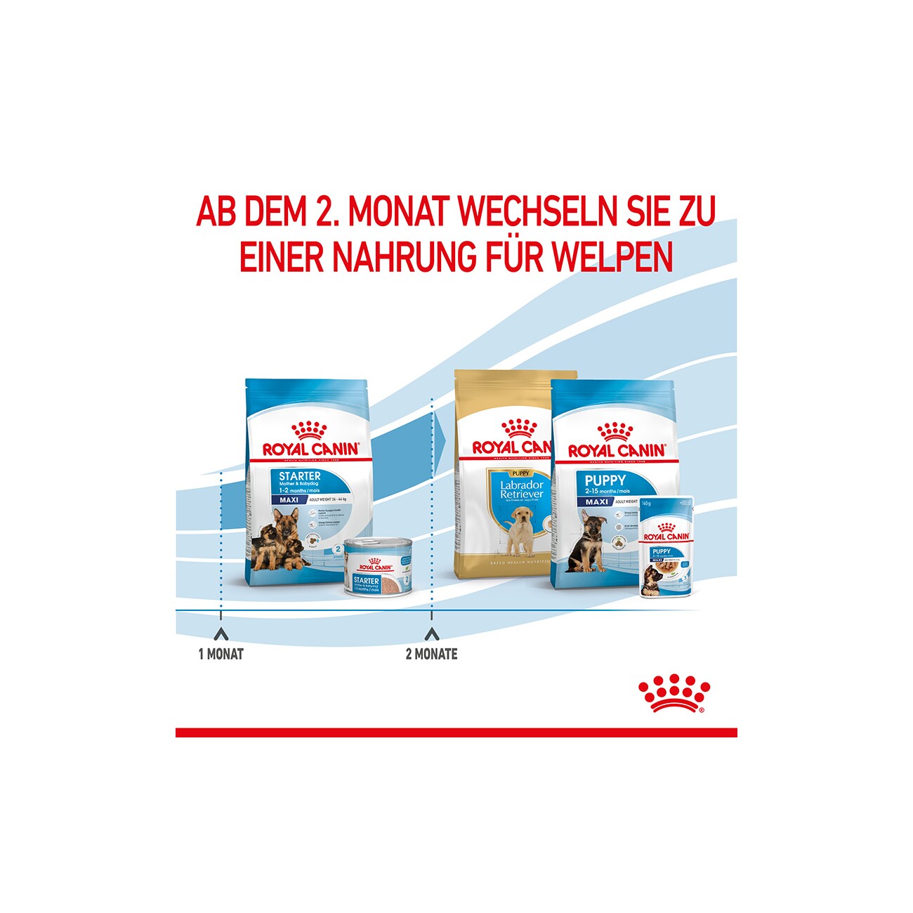 ROYAL CANIN MAXI Starter 15kg