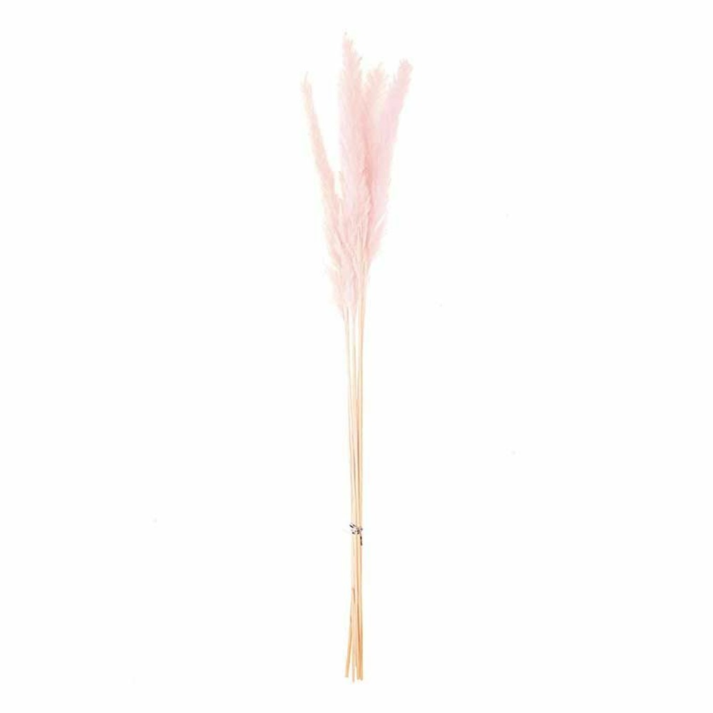 Herbes de palma séchées rose - 70 cm
