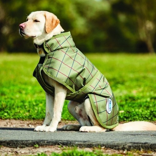 Casaco parka Weatherbeeta para cães, estampa verde-oliva