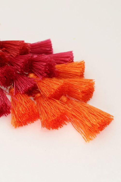 Statement oorbellen met gekleurde flosjes
