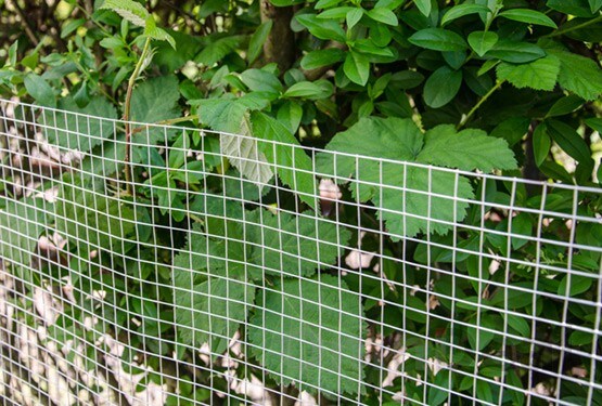25m x 100cm Volierendraht - Verzinkt 19x19mm - Maschendrahtzaun Kaninchendraht