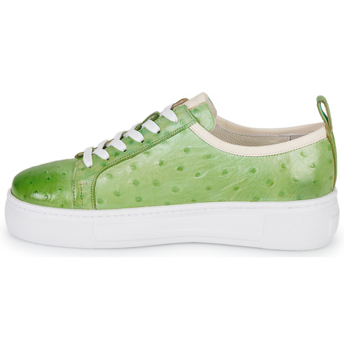 Melvin & Hamilton - AMBER 6 - Vert