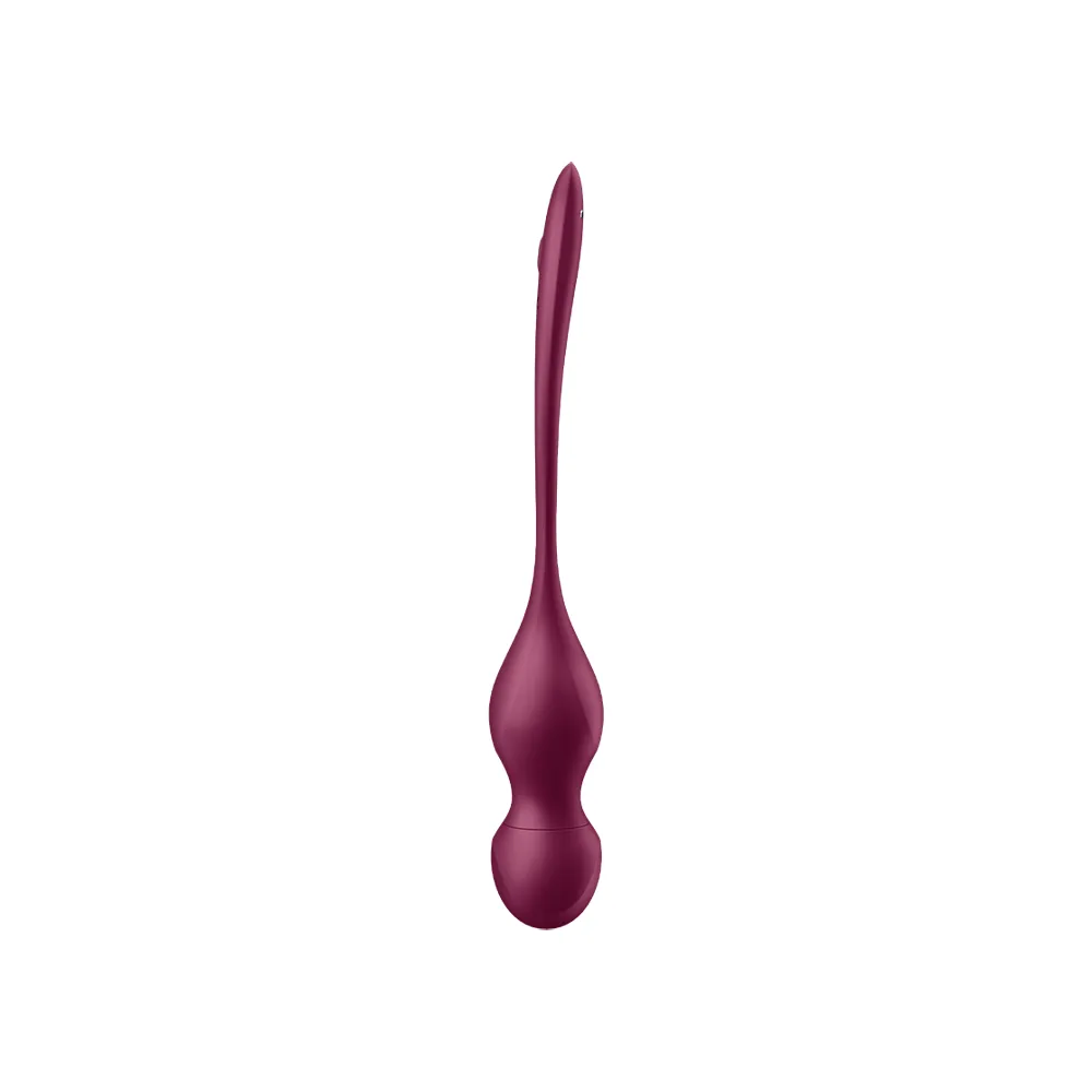 Satisfyer Love Birds Vary Connect App - 1 stk.