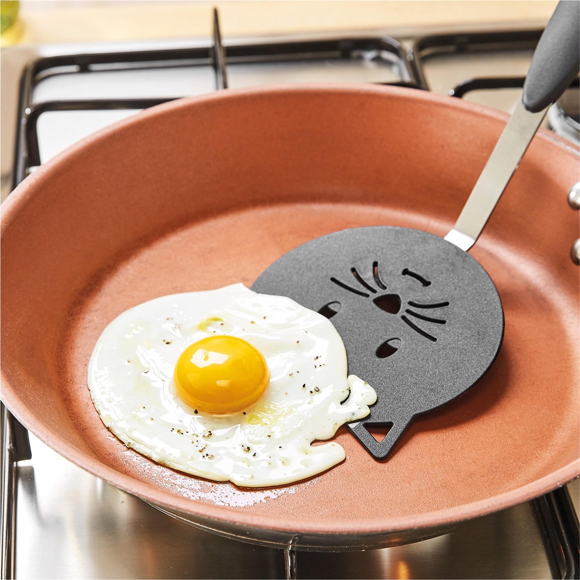 Spatule chat