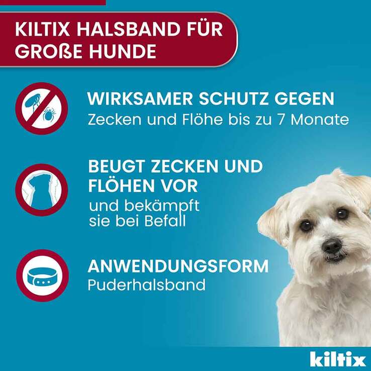 Kiltix für große Hunde Halsband, 1 St