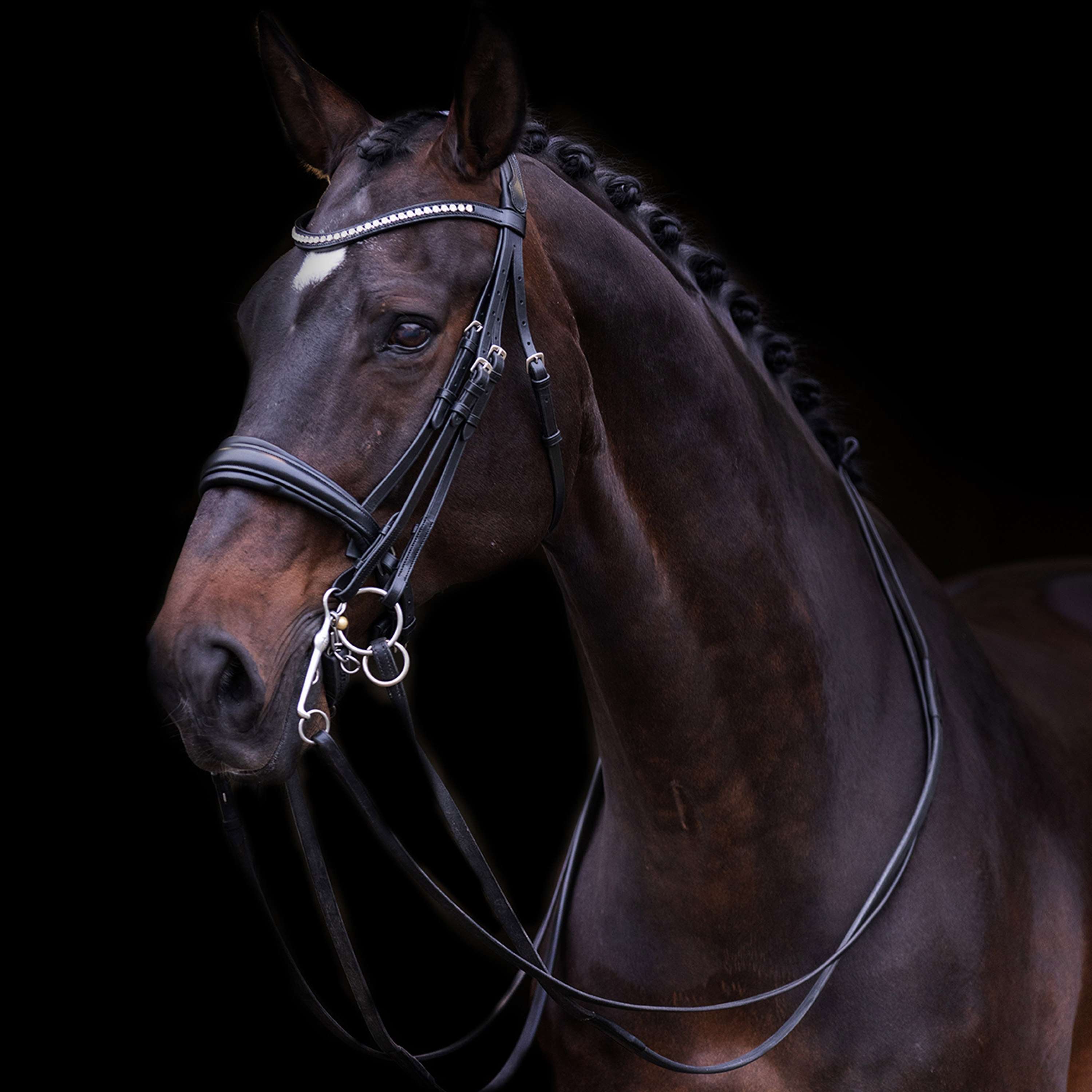 Imperial Riding Stang- en Trenshoofdstel IRHFria Zwart
